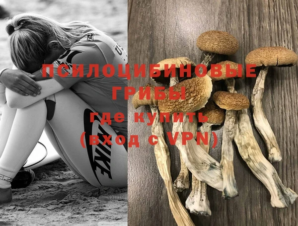 кокс Пересвет